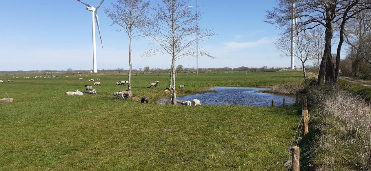 Ferienwohnung Matzibarg Ahrenviol Buitenkant foto